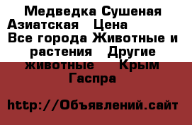 Медведка Сушеная Азиатская › Цена ­ 1 400 - Все города Животные и растения » Другие животные   . Крым,Гаспра